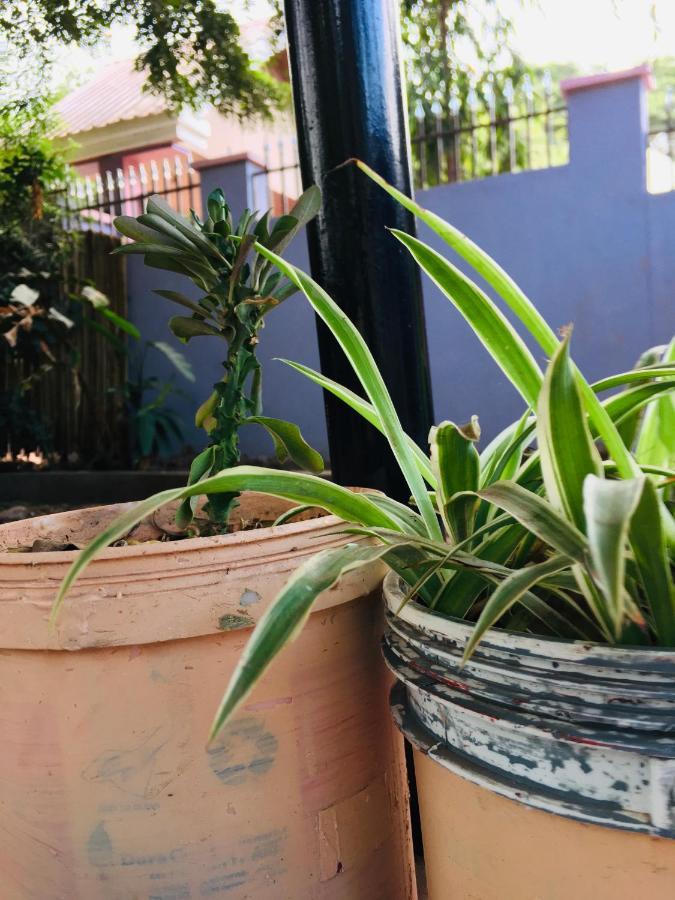 Ava Garden Backpackers Apartamento Mto wa Mbu Exterior foto